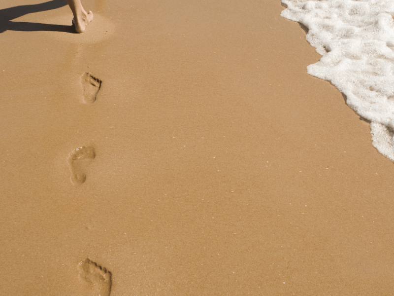 Capsule Number 21: Why Walk Backwards When I’m Meant to Move&nbsp;Forward